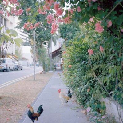 im电竞平台手机app下载